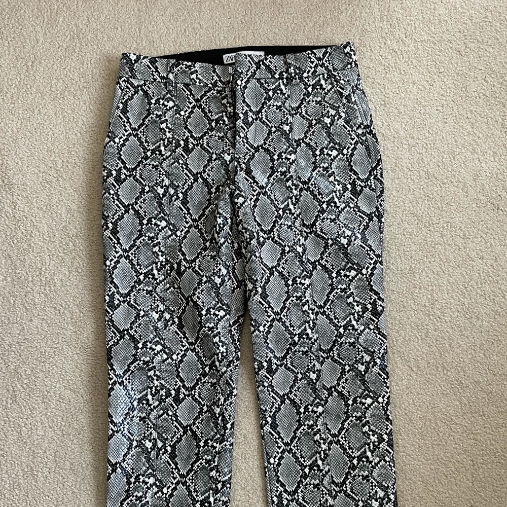 SNAKESKIN ZARA PANTS FREE SHIPPING